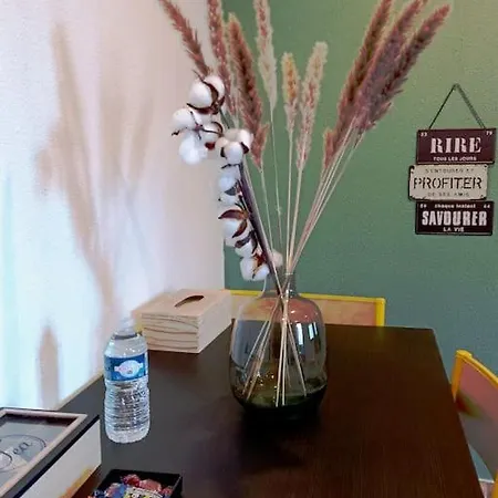 L'appart Enjoy Du Musee De L'auto Appartement