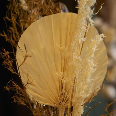 L'appart Enjoy Du Musee De L'auto Appartement