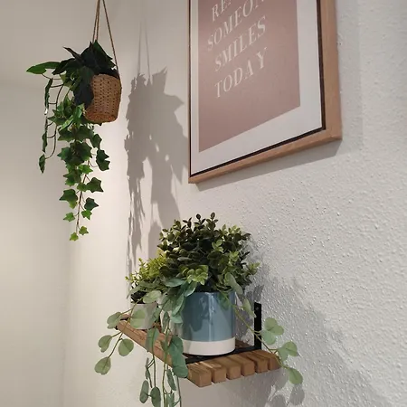 L'appart Enjoy Du Musée De L'auto Mulhouse