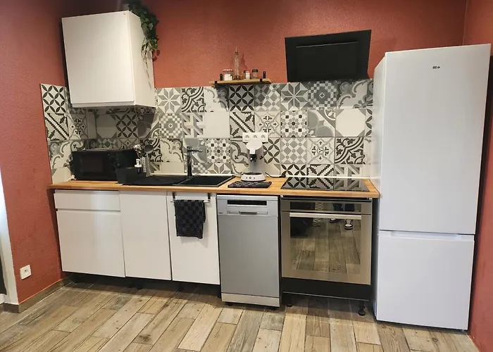 Lägenhet L'appart Enjoy Du Musee De L'auto Mulhouse