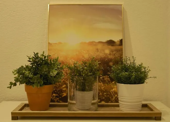 L'appart Enjoy Du Musee De L'auto Mulhouse