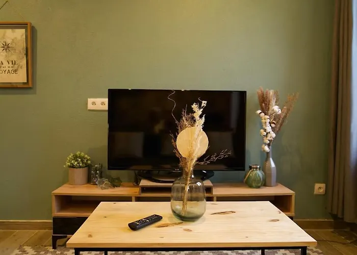 L'appart Enjoy Du Musee De L'auto Mulhouse