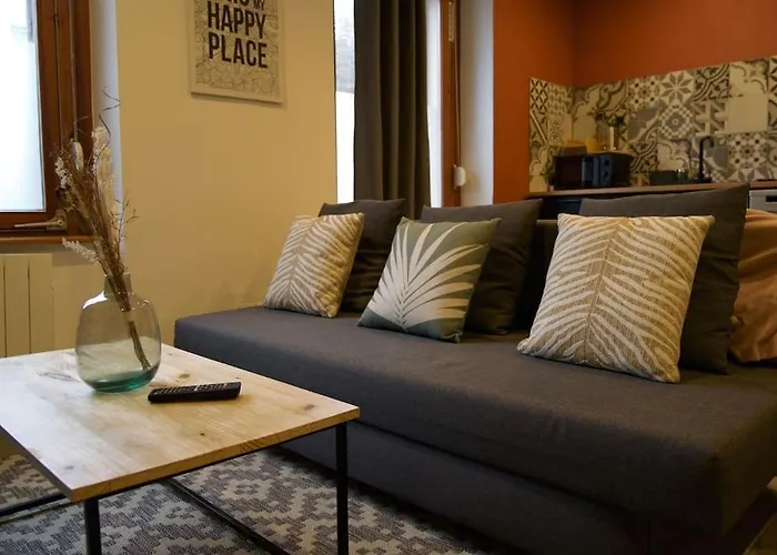 Lägenhet L'appart Enjoy Du Musee De L'auto Mulhouse