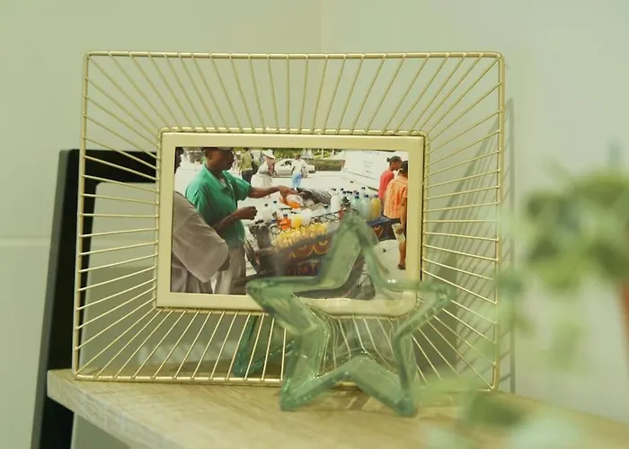 L'appart Enjoy Du Musee De L'auto * Mulhouse