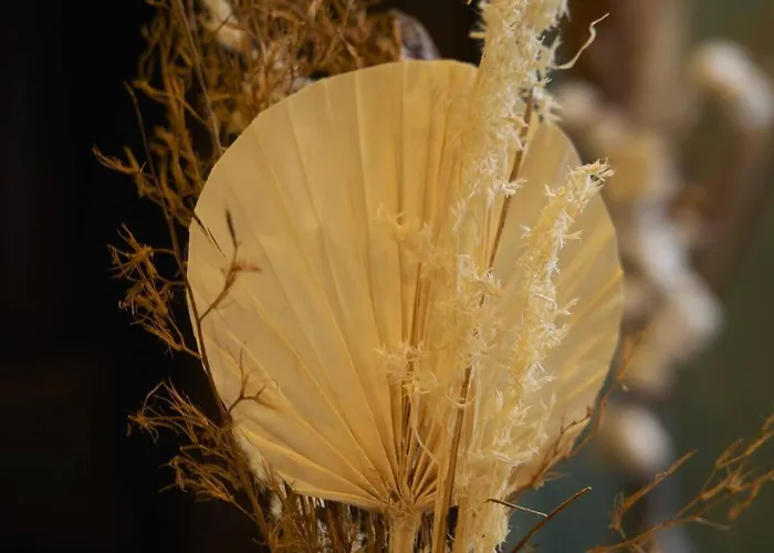 L'appart Enjoy Du Musee De L'auto Lägenhet