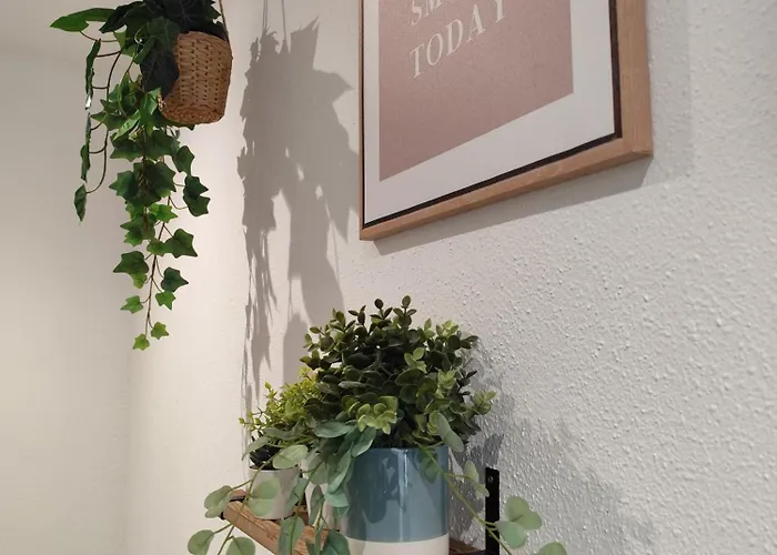 L'appart Enjoy Du Musée De L'auto Mulhouse