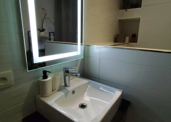 L'appart Enjoy Du Musée De L'auto Appartement Mulhouse