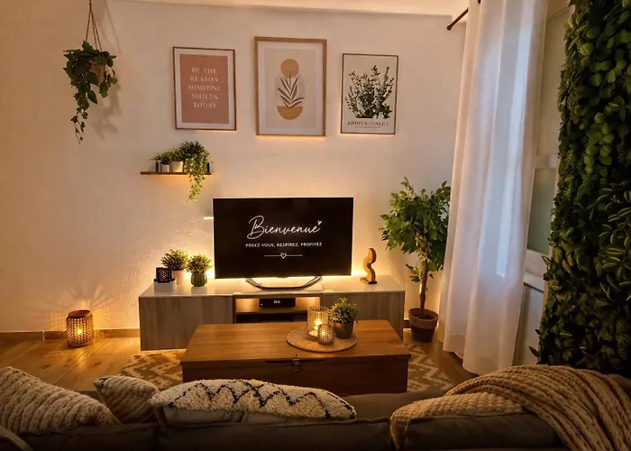 L'appart Enjoy Du Musée De L'auto Mulhouse