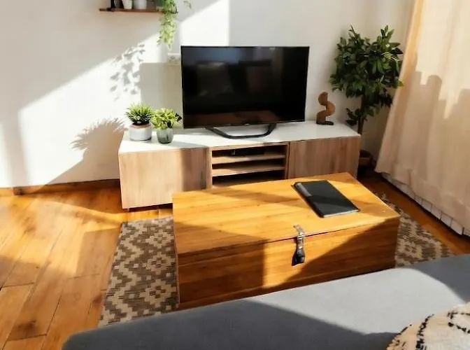 L'appart Enjoy Du Musée De L'auto Appartement Mulhouse